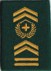Bild von Chefadjutant Achselschlaufe Infanterie, Preis gilt für 1 Stück